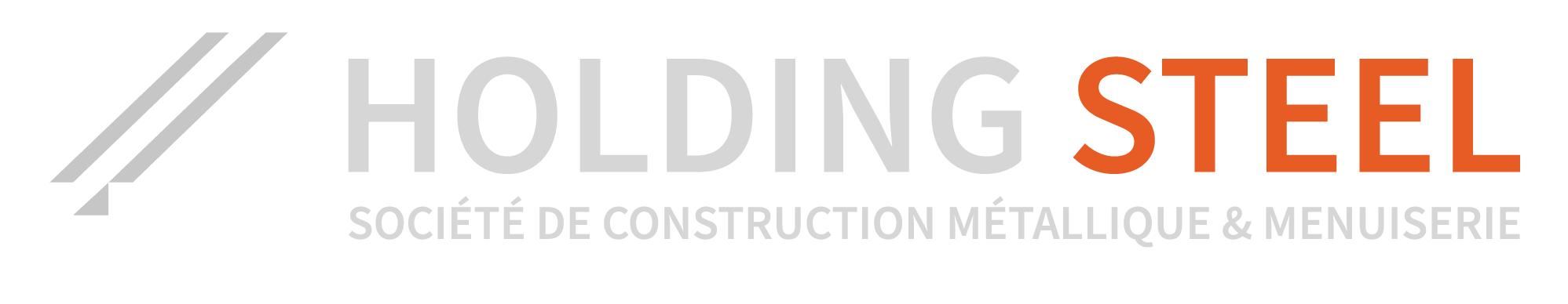 Holdingsteel Logo